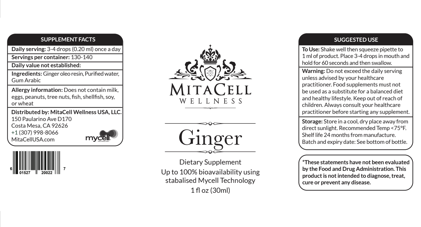 Ginger 90 Day Supply